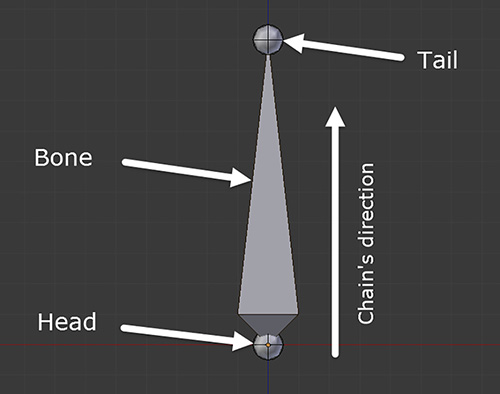 Tut_Twist_BoneAnatomy.jpg